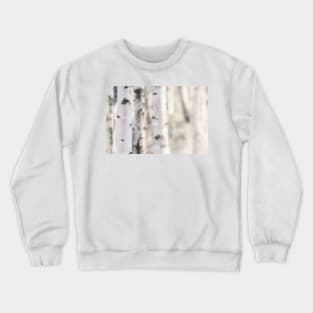 Birch Crewneck Sweatshirt